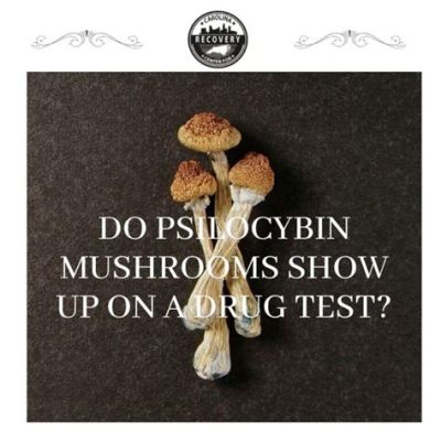 Does Mushrooms Show Up on a Drug Test? Exploring the Psychedelic Enigma and Its Tangential Mysteries